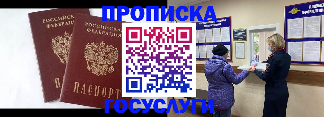 прописка законно в Сольцах