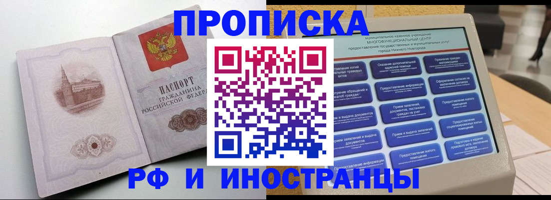 прописка поиск в Сольцах